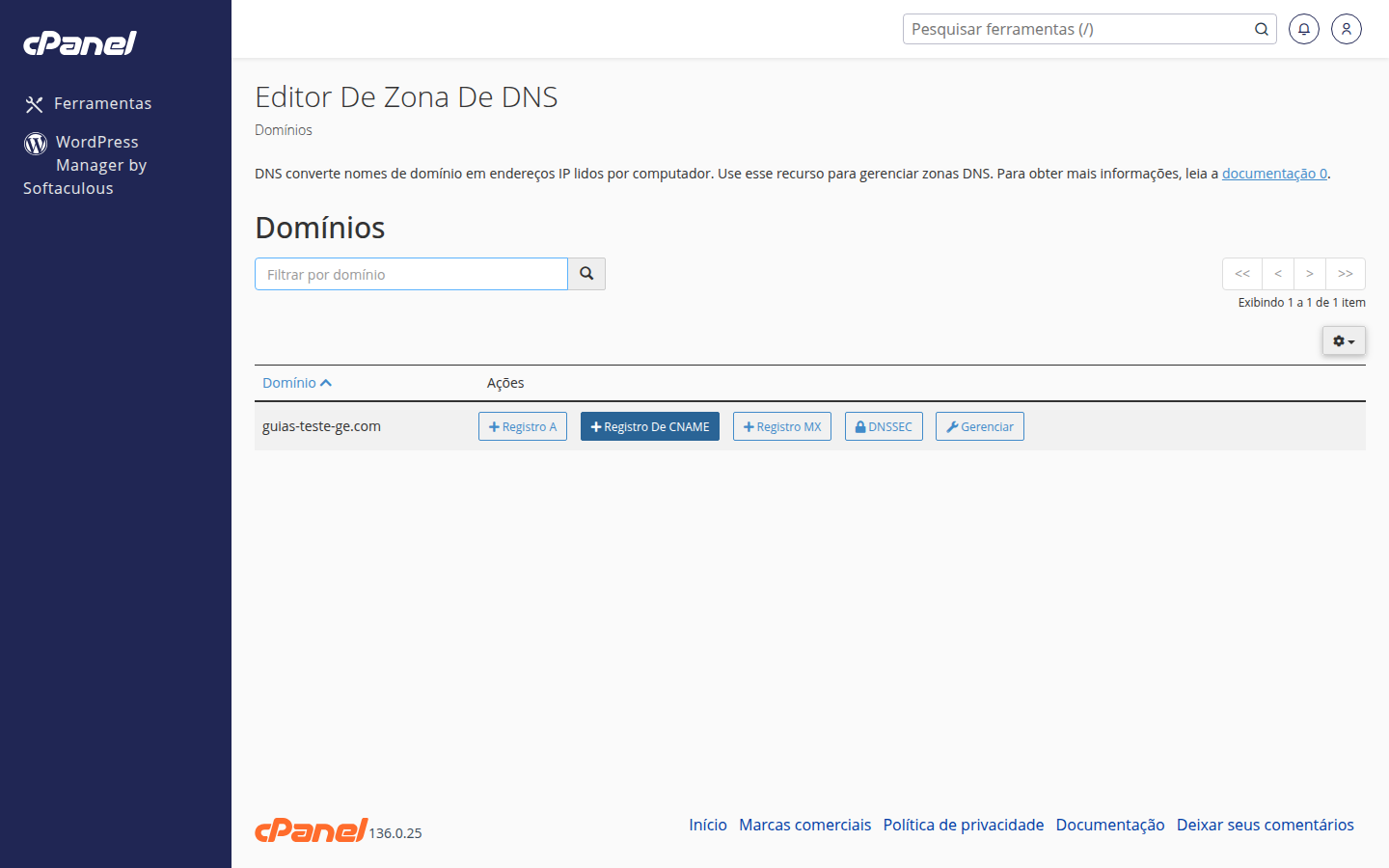 Tela 'Editor de Zona de DNS' no cPanel com lista de registros e botões para adicionar